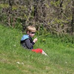 IMG_0153