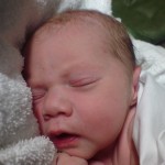 dsc00455 (Poppy’s Birthdays)