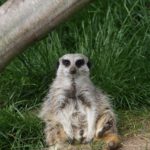 img_5028 (fathers’ Day)