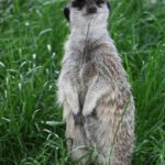 img_5033 (fathers’ Day)