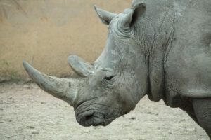 img_5084 (fathers’ Day)